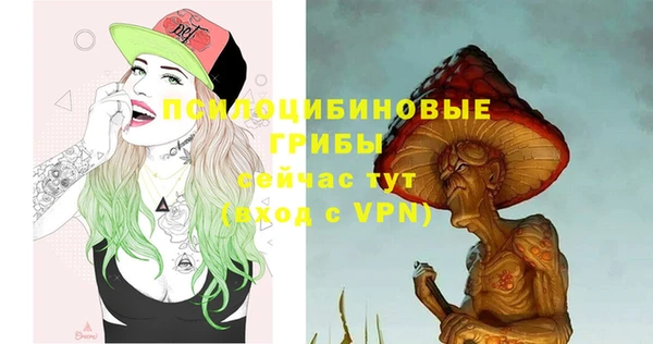 mdpv Рославль