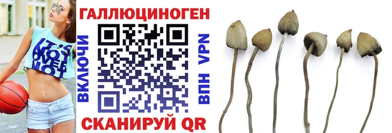 Псилоцибиновые грибы Magic Shrooms  нарко площадка какой сайт  Кировград 